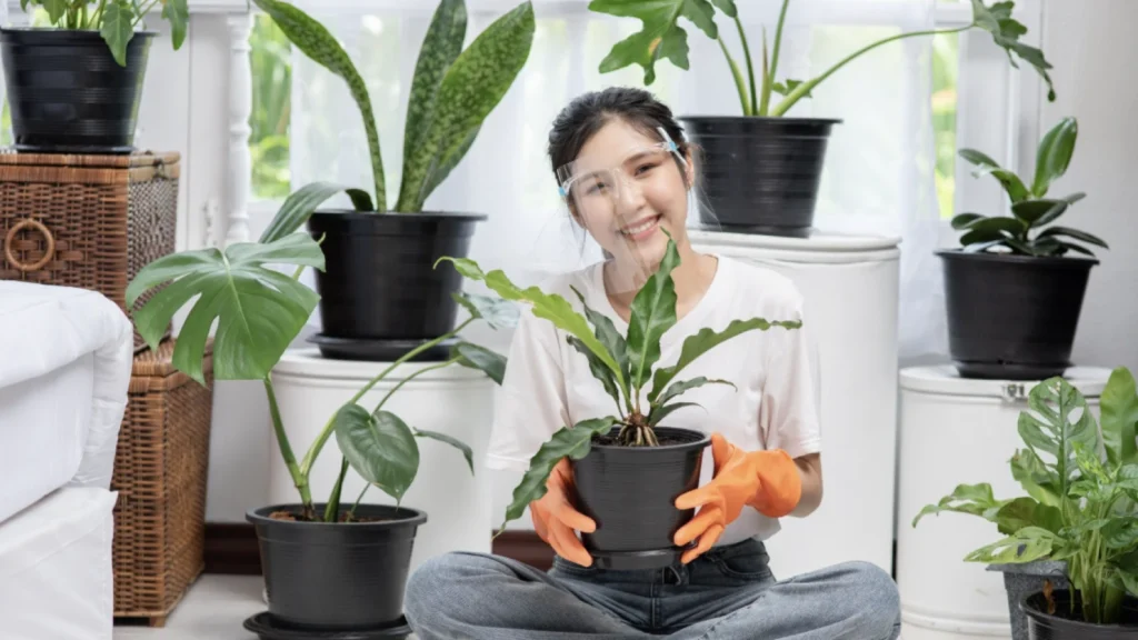Manfaat Berkebun Bumbu dan Herbal di Rumah
